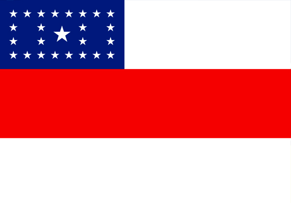 Bandeira Amazonas