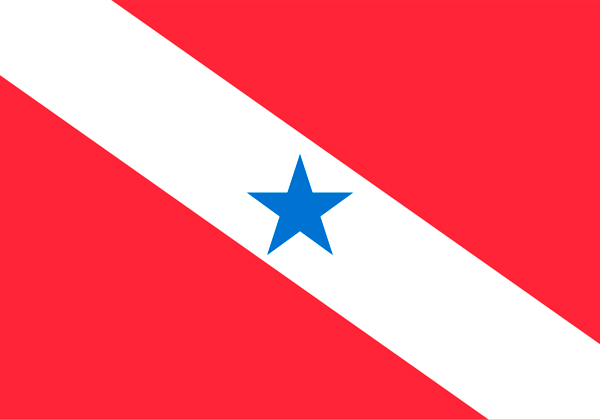 Bandeira Pará