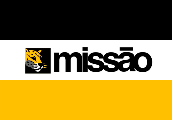 Bandeira Mulher