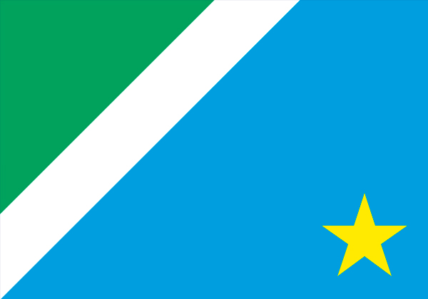 Bandeira Mato Grosso do Sul